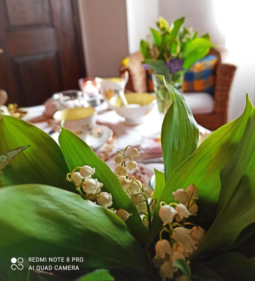 B&B Va...Lentina Piavata ภายนอก รูปภาพ