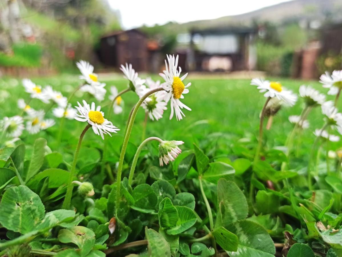 B&B Va...Lentina Piavata ภายนอก รูปภาพ